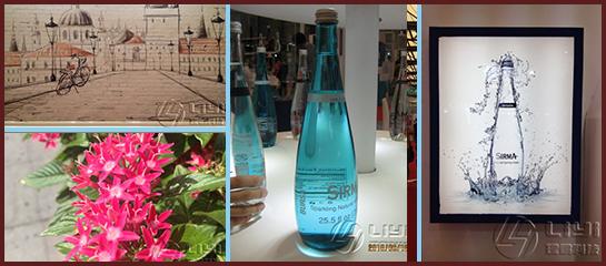 上海世博威健世博会